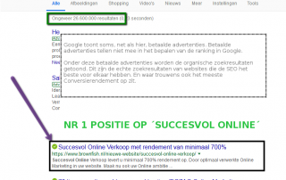 succesvol online en topranking Google