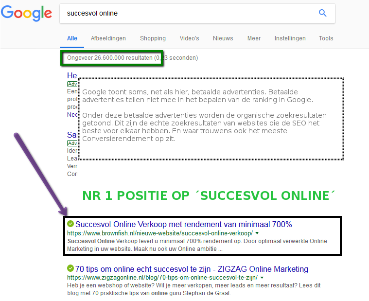 succesvol online met topranking in Google