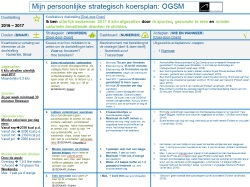 OGSM voorbeeld