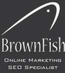 BrownFish Online Marketing | SEO-specialist